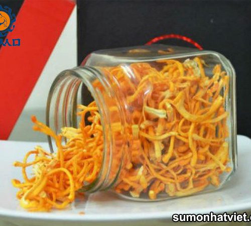 Đông trùng hạ thảo sợi khô