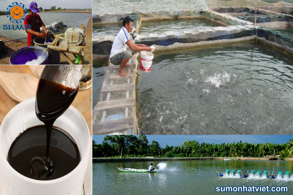 Ủ vi sinh với mật đường