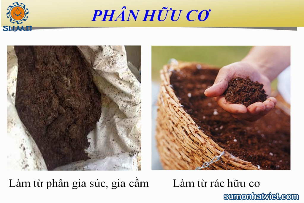 Phân bón hữu cơ trong phát triển nông nghiệp bền vững