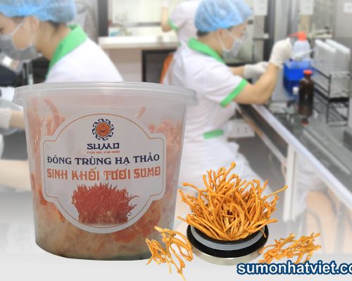 Đông trùng hạ thảo sinh khối tươi