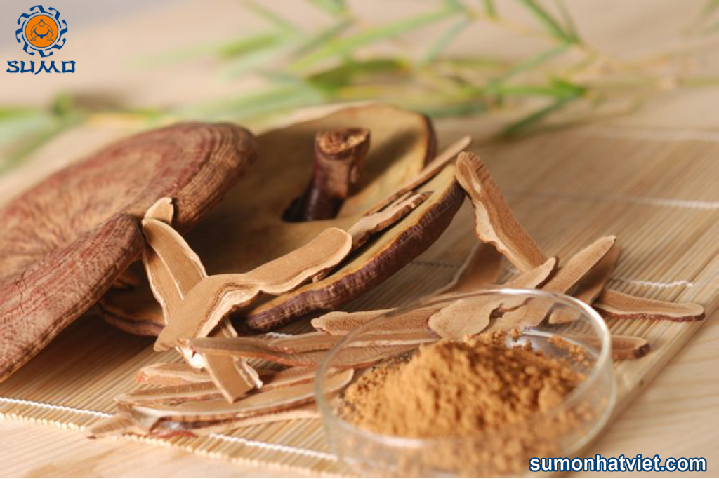 Cách chế biến nấm linh chi