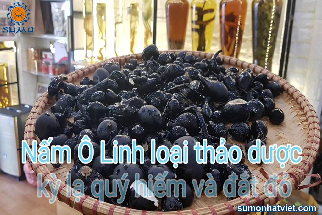 Dược phẩm quý hiếm