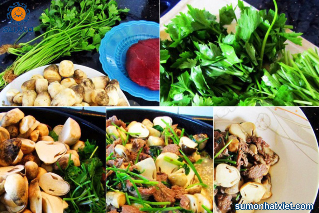 http://vbiovn.test/san-pham-nganh-nam