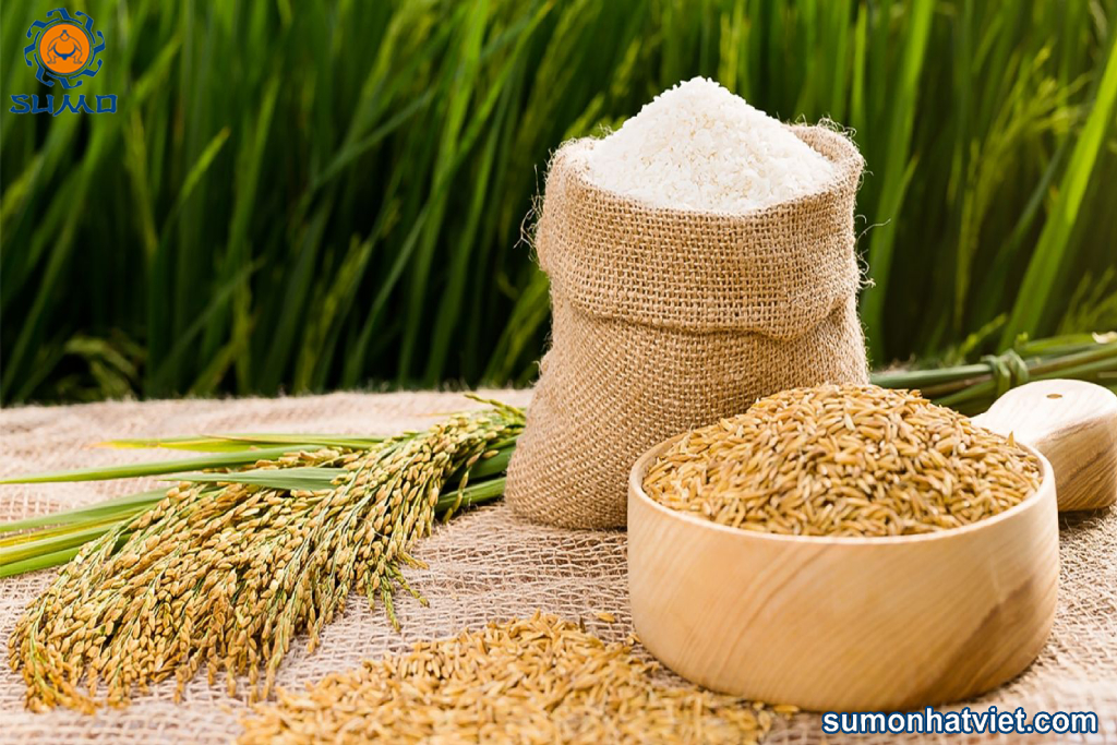Gạo Việt Nam đạt giải “Gạo ngon nhất thế giới”