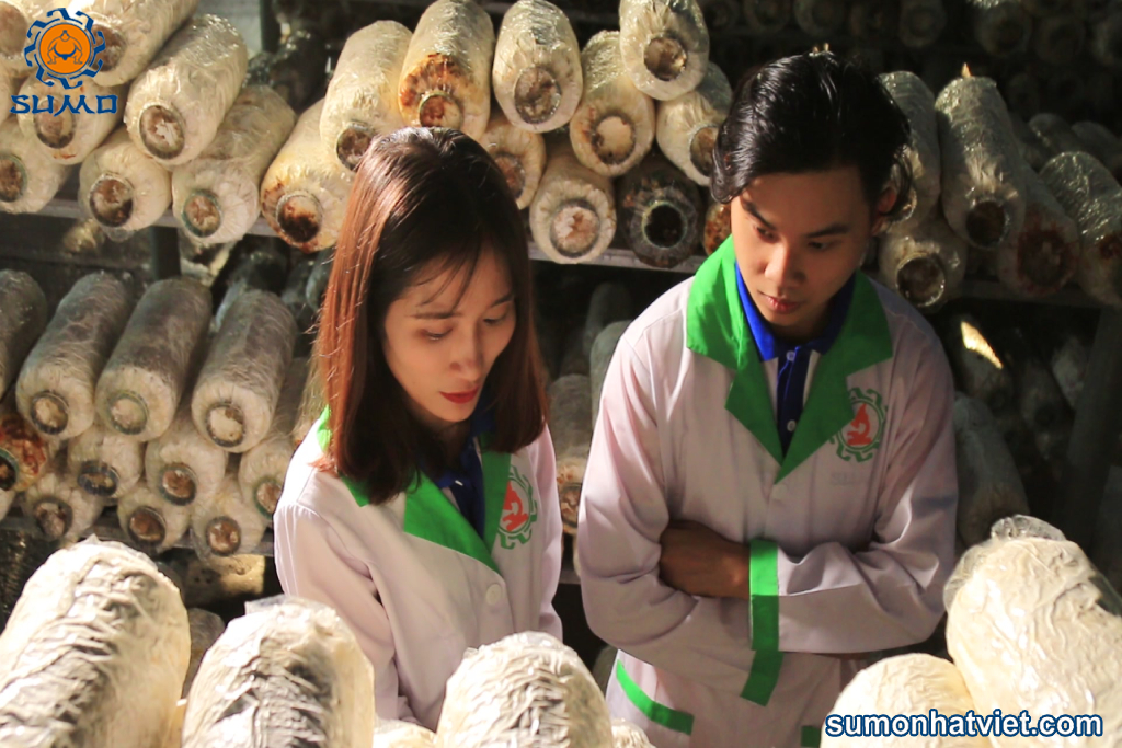 Cán bộ nghiên cứu tham quan chia sẻ kinh nghiệm tại trại nấm