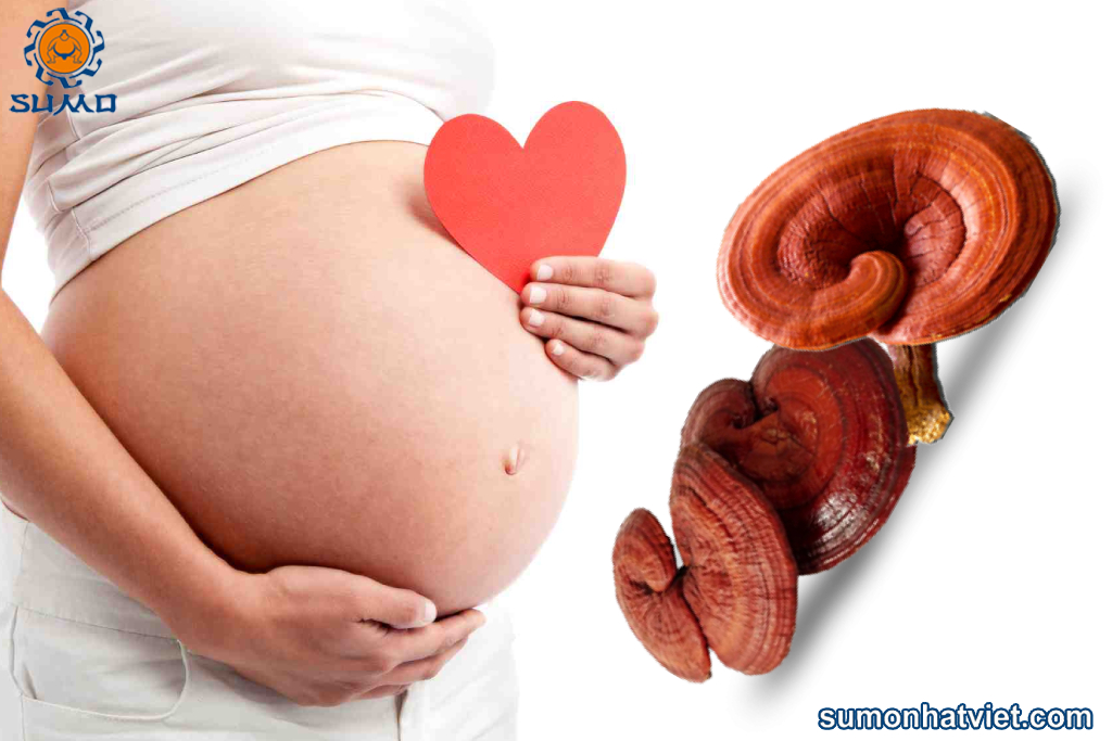 Thắc mắc bà bầu ăn nấm linh chi được không