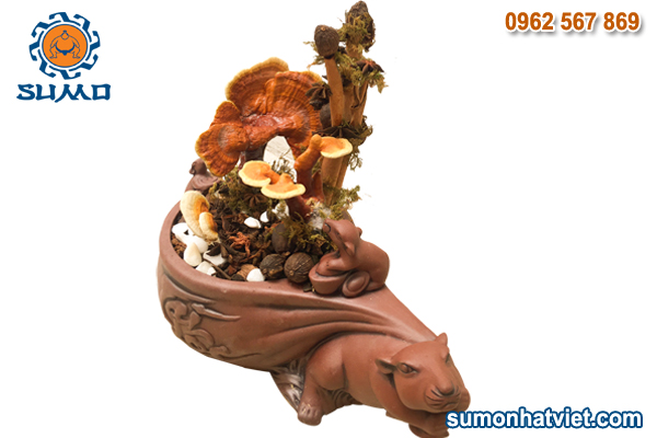 Bonsai linh chi hình chuột