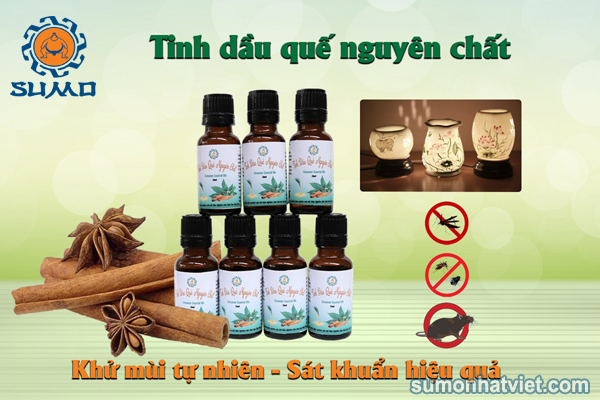 công dụng hữu ích của tinh dầu quế