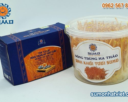 Trà Đông trùng hạ thảo và Đông trùng hạ thảo tươi