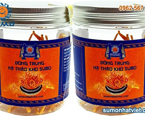Đông trùng hạ thảo khô
