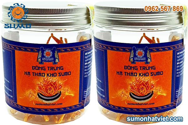 Combo 2 hộp Đông trùng hạ thảo khô