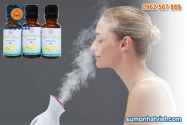 10 công dụng của tinh dầu sả