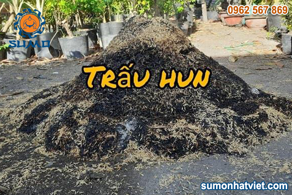 Tro trấu hun là gì? Cách làm tro trấu hun đúng kỹ thuật