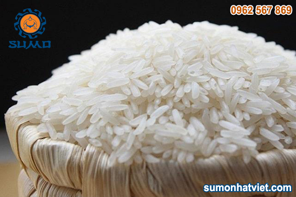 cach lam vi sinh ban dia 02 1