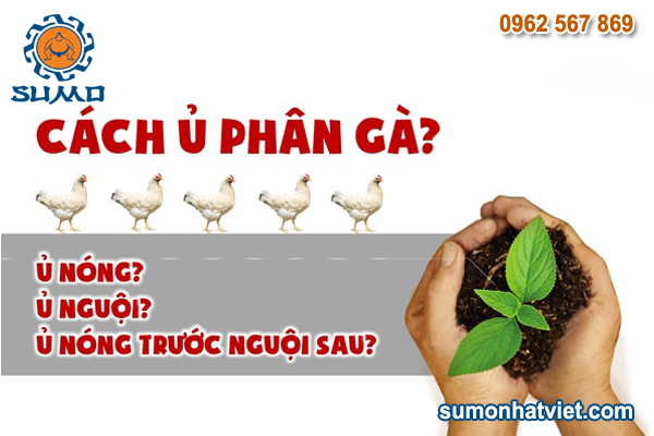 Sản xuất phân hữu cơ từ phân gà