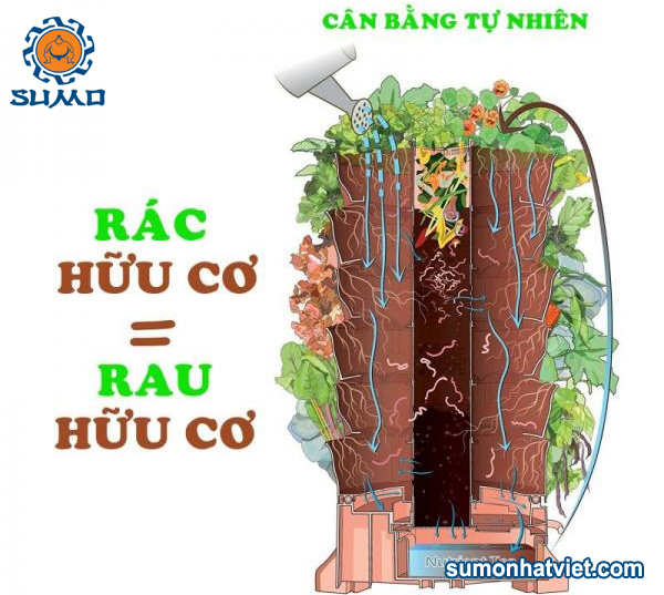 u rac nha bep voi nam trichoderma