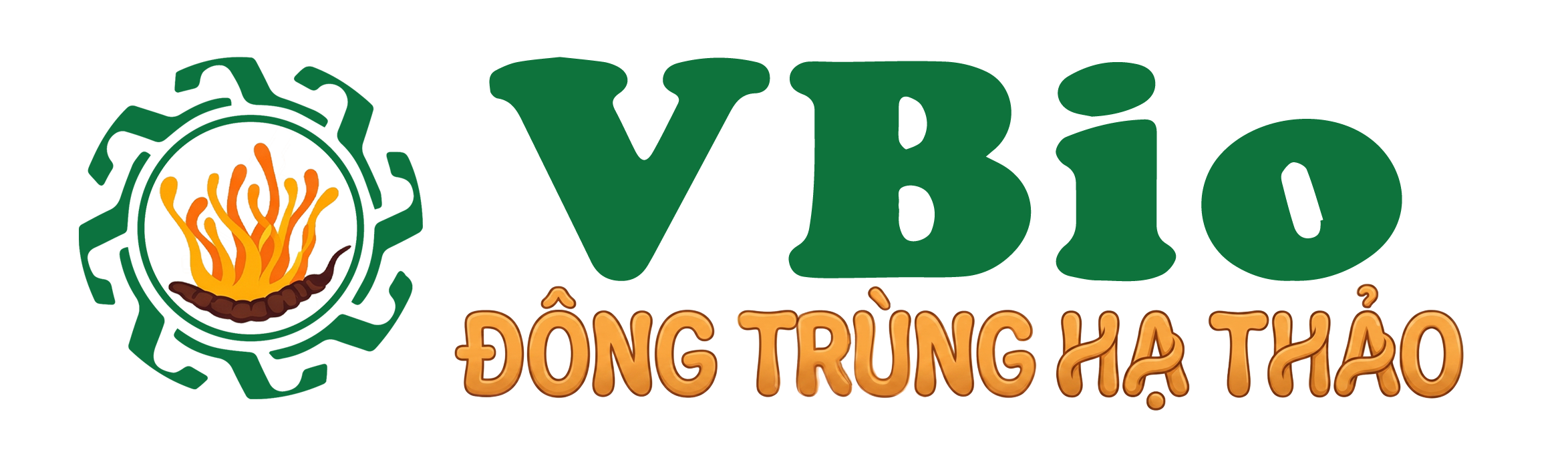 Đông Trùng Hạ Thảo VBio